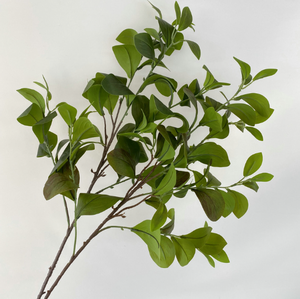 Vente chaude Feuillage artificiel Feuilles <span class=keywords><strong>de</strong></span> branches <span class=keywords><strong>de</strong></span> feuilles <span class=keywords><strong>de</strong></span> caroubier pour la Saint-Valentin Mariage Décoration <span class=keywords><strong>de</strong></span> la maison Hôtel - Product Image 1