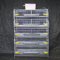 10000 conception de cage à oiseaux de caille pour ferme de caille Cage d'élevage de cailles portable à 6 niveaux avec plateau à fumier Abreuvoir en plastique