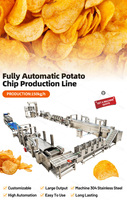 Verkoop kleine aardappelchipslijn, Franse verwerkingsfriteuse, bananenproductie, belangrijke machine, professionele fabriek