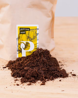 Kit de démarrage de terrarium en verre pour plantes, pour jardin ou pour bureau, décoration murale, bricolage, design moderne