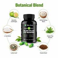 Produits de perte de poids en marque blanche, capsules Slim Plus, contrôle de l'appétit, soutien du métabolisme, usine OEM ODM, vente en gros de compléments alimentaires