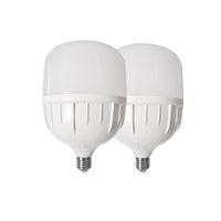 Ampoule LED T 25W, culot E27, étanche, interrupteur, plastique + aluminium, 6000K lumière du jour, CRI 80, durée de vie 30000 heures, tension universelle