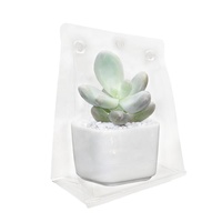 Coquille plastique transparent en PET, emballage esthétique pour plantes, 50 pièces