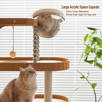 Arbre à chat multi-niveaux en bois massif Sunset Island, 6 places, peinture écologique, qualité supérieure, pour plusieurs chats