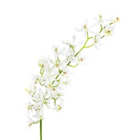 Promo Panas Batang Anggrek Artifisial 70cm Sentuhan Asli Bunga Anggrek untuk Dekorasi Pesta Dalam Ruangan