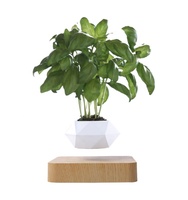 Pot de fleurs/vase à plantes flottant à lévitation magnétique en plastique ABS de style chinois moderne pour la décoration intérieure