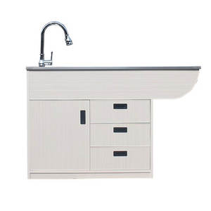 Mesa de Trabajo Veterinaria de Acero Inoxidable WT-17 con Marco de Madera para Peluquería Canina - Product Image 1