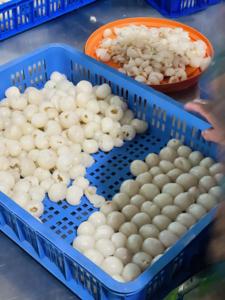 ลิ้นจี่แช่แข็งออร์แกนิกคัดพิเศษ บรรจุภัณฑ์สุญญากาศ จำหน่ายส่งจากโรงงานในเวียดนาม - Product Image 5