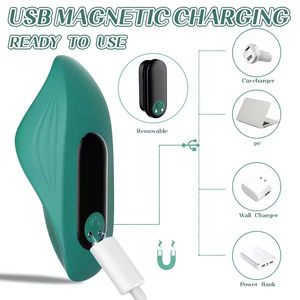 Braguitas Vibratorias Sexys para Mujer con Control Remoto, Estimulador de Clítoris, Juguetes Sexuales para Parejas - Product Image 4