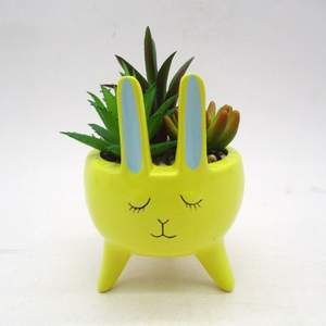 <span class=keywords><strong>Vaso</strong></span> di fiori di pinguino <span class=keywords><strong>in</strong></span> ceramica smaltato personalizzabile <span class=keywords><strong>vaso</strong></span> di fiori per animali carino <span class=keywords><strong>vaso</strong></span> di fiori <span class=keywords><strong>in</strong></span> ceramica fioriera <span class=keywords><strong>giardino</strong></span> succulento - Product Image 4
