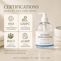 Désinfectant pour les mains sans parfum ni alcool en flacon pompe, OEM, marque privée, étiquette personnalisée, vente en gros, gamme d'hygiène des mains commerciale