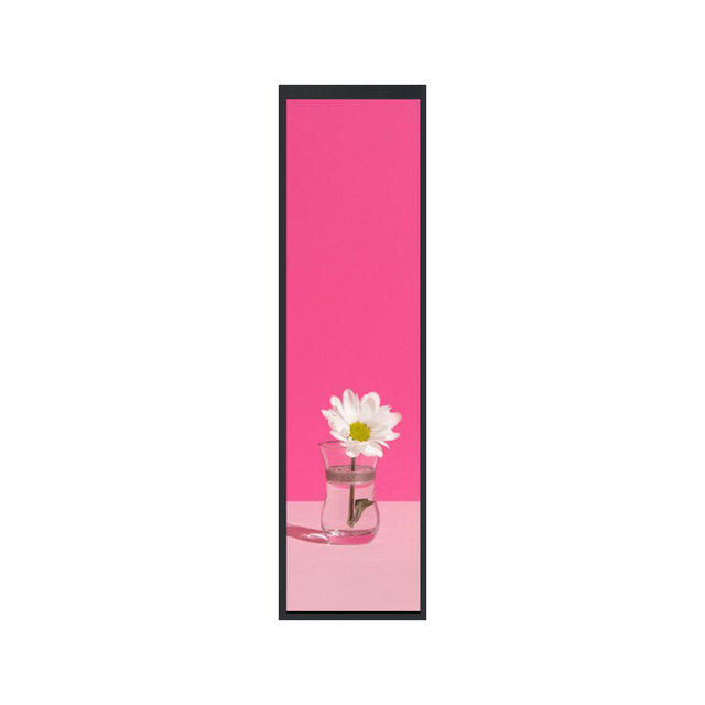 Zhunyi Technology Portrait Format Stretched Bar LCD Screen 8.8 Inch 480x1920 MIPI DSI IPS Ultra Wide View Angle 550nits