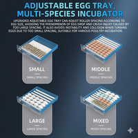 Incubateur domestique de petite et moyenne taille, incubateur entièrement automatique pour poulets et poussins, incubateur d'œufs intelligent