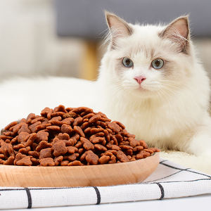 Achat en vrac fournitures pour animaux <span class=keywords><strong>de</strong></span> compagnie tout naturel choix savoureux cuisine honnête saveur <span class=keywords><strong>de</strong></span> poulet nourriture sèche pour <span class=keywords><strong>chat</strong></span> diverses formes - Product Image 2