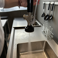 Grifo de Cocina Contemporáneo con 3 Años de Garantía, Monomando, Alta Presión, Latón, Rociador Extraíble, Montaje en Encimera