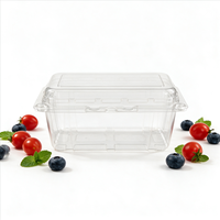 Transparante fruit- en groenteverpakking, grote capaciteit, voedselveilig, gerecycled PET, verse supermarkt groothandel, met scharnierend deksel