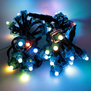 DC12V <strong>WS2811</strong> Bullet Led <strong>Pixel</strong> Lights IP68 Waterproof Garden LED <strong>String</strong> Light Wholesale - Product Image 3