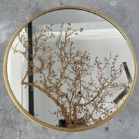 Table basse de style américain avec plateau en miroir, nouveau design moderne avec base en métal, meubles tendance pour la maison