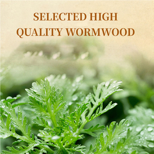 Obat Alami untuk Nyeri Otot Plester Herbal Pereda Nyeri Sendi Mugwort Plester Leher dan Tulang Belakang Bawah Bahu dan Leher - Product Image 5