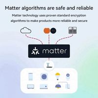Matière sur WiFi Smart Light Switch DIY Disjoncteur Module Homekit SmartThings Télécommande 2 Voies 16A