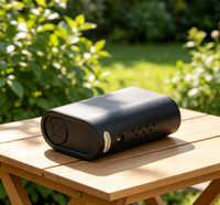 High Quality Portable Tire Inflator With Quick Inflate