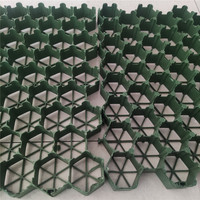 Grille d'herbe pour pavés en plastique HDPE pour parking