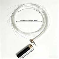 Fouet lumineux LED 2000mAh, autonomie de 8 à 12 heures, fouet en fibre optique de 195 cm, 40 effets RGB, étanche IP44, chargement rapide USB-C pour soirées Rave