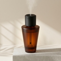 Bouteilles de luxe pour diffuseurs à bâtonnets, flacons en verre ambré transparent de haute qualité pour parfums et machines d'aromathérapie