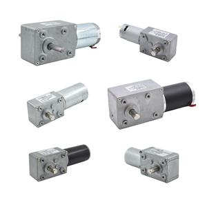 12V Tiny DC Worm Gear Motor W/ Dual Shaft, 53RPM