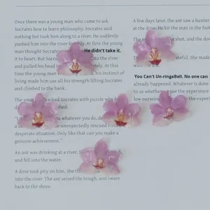 Bất Khô Đầu Hoa Tự Làm Nhựa Phalaenopsis Hoa Lan Hoa Đinh Thành phần Cho Bông Tai - Product Image 6