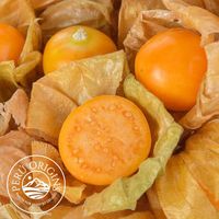 Hete Verkoop Goedkope Bulk Voedingsvezels Groothandel Hoge Kwaliteit Biologische Physalis Peruviana Gedroogde Gouden Bessen