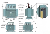 Transformateur électrique immergé dans l'huile PENGTAI à haut rendement, noyau tout cuivre, 1000 KVA S20, fabriqué en Chine