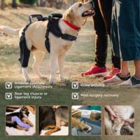 Produits pour animaux de compagnie très vendus, coussinets de protection pour les coudes des chiens BR23003XSBA-V2