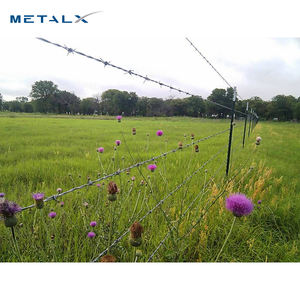 <span class=keywords><strong>Alambre</strong></span> <span class=keywords><strong>de</strong></span> Púas Cyclone Twist <span class=keywords><strong>de</strong></span> Lowes, Cadena <span class=keywords><strong>de</strong></span> <span class=keywords><strong>Alambre</strong></span> <span class=keywords><strong>de</strong></span> Hierro <span class=keywords><strong>de</strong></span> 50 kg, Diseños <span class=keywords><strong>de</strong></span> Cercas <span class=keywords><strong>para</strong></span> Filipinas, <span class=keywords><strong>Alambre</strong></span> <span class=keywords><strong>de</strong></span> Púas Duradero con Púas <span class=keywords><strong>de</strong></span> Lowes - Product Image 6