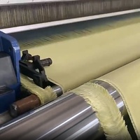Tissu en aramide NQFIBER haute résistance, ignifuge, de poids moyen, tissage 1000d 1500d 3000d pour la protection incendie