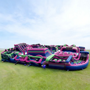 Nuevo Modelo de Castillo Inflable y Brincolín con Diseño Elegante y Tobogán para <span class=keywords><strong>Alquiler</strong></span> en Bodas y Eventos - Product Image 3