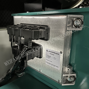 70kw Methane Máy phát điện thiết lập phát thải thấp hiệu quả cao Máy phát điện khí thân thiện với môi công nghiệp sao lưu chủ yếu là điện - Product Image 6