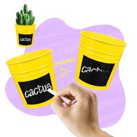 Pots à fleurs en métal galvanisé de 12 pièces, bac à plantes succulentes avec plateau et trous de drainage, pour jardin extérieur et intérieur