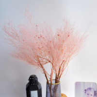 Herbe des rêves naturelle préservée, fleurs et plantes séchées, décoration de Noël longue durée pour la maison, DIY