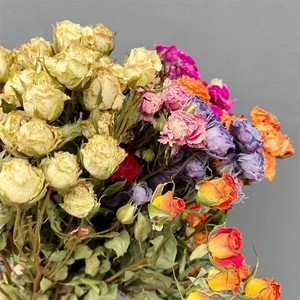 Fleurs de rose rouge séchées naturelles pour la décoration de mariage familial, décoration de fête, illustration de fleurs séchées, roses séchées - Product Image 6