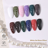 Kit professionnel de gel UV pour ongles DIY, logo personnalisé, résistant aux fissures, incassable, flacon de vernis à ongles magnétique - Vegan, longue tenue