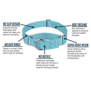 Pet eğitim malzemeleri Heavyduty naylon evcil hayvan tasmaları Martingale köpek tasması - Product Image 2