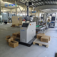Lengan Robot Palletizer Kolaboratif dengan Repeatabilitas Tinggi untuk Mengambil dan Menempatkan Karton, Kotak, dan Kantong dalam Sistem Pengemasan Fleksibel