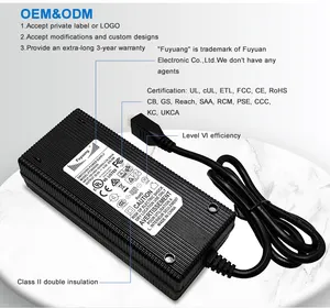 Ce Ukca Approved 24v29v Portable 24v Lithium Battery Charger Ce Charger 29.4v 2a