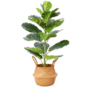 Albero di Ficus Lyrata Artificiale Grande in Materiale PE Resistente ai Raggi UV, Ecologico, per Decorazione Interna del Soggiorno - Product Image 2