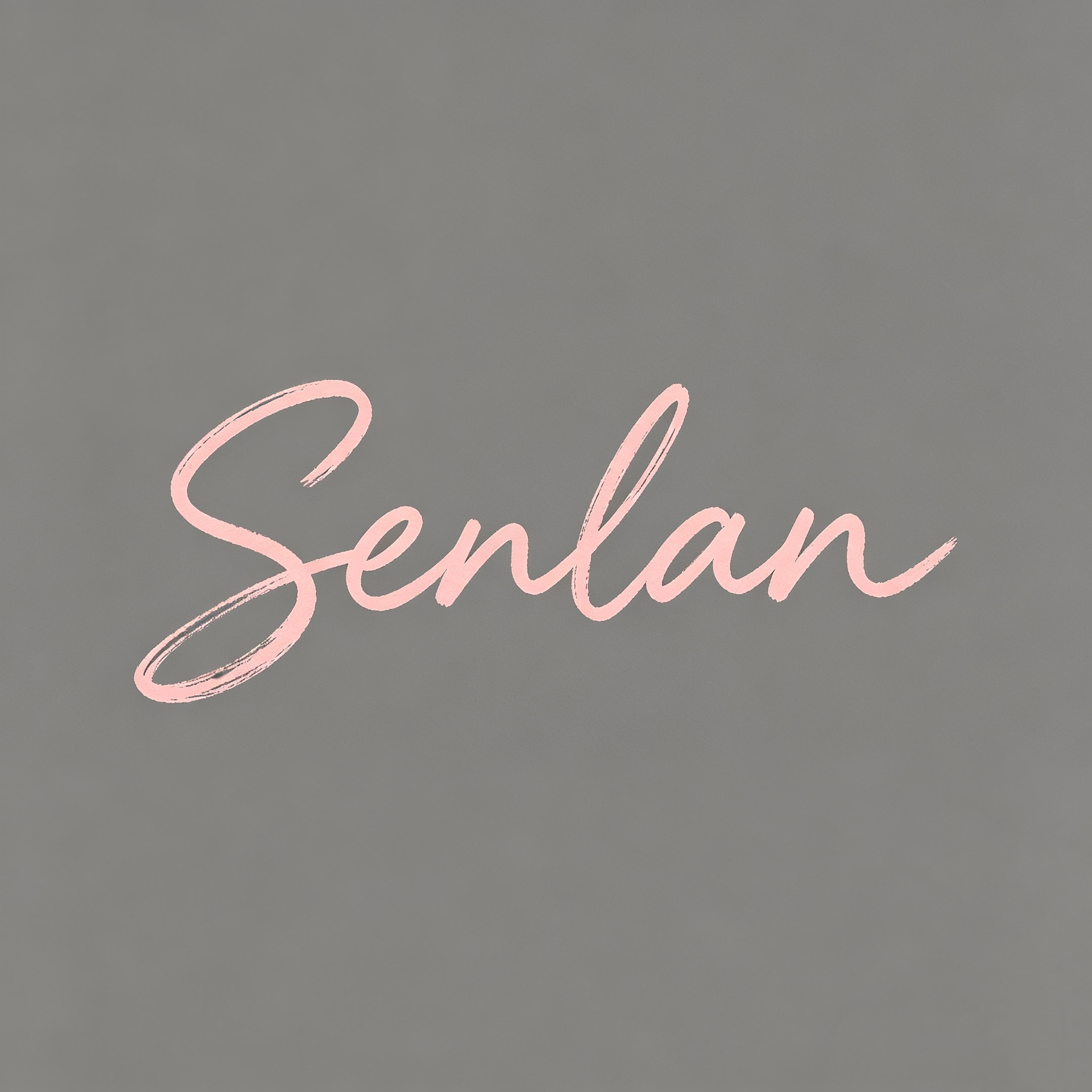 Wuhan Wuchang District Senlan Xupin E-Commerce Business Firm logo