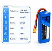 Paket Baterai Lithium 12S 44.4V 20Ah Baterai Lithium Isi Ulang Berdaya Tinggi untuk Robot UAV Pertanian AGV Dapat Disesuaikan