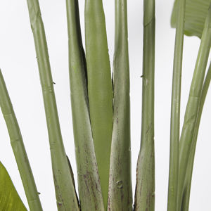 Piante Artificiali 180CM, Albero di Palma Tropicale Finto Uccello del Paradiso, Piante Finte per Casa, Giardino, Ufficio, <span class=keywords><strong>Negozio</strong></span> - Product Image 4