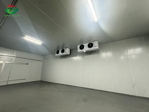 Jialiang fiyat soğuk oda 20ton Mini soğuk oda soğutma kamera - Product Image 4