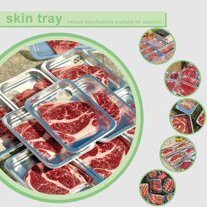 ถาดพลาสติกสีเงิน PP/PET ขนาดและรูปทรงตามสั่ง ทนทานต่อการแช่แข็งที่อุณหภูมิต่ำ สำหรับเสิร์ฟอาหาร - Product Image 3